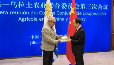 Fratti-en-China-2025