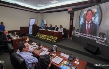 saudu noticias