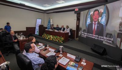 jornada-FAO