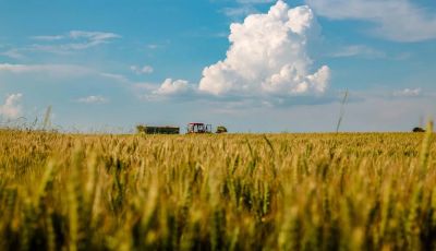 Agricultura Agricultura